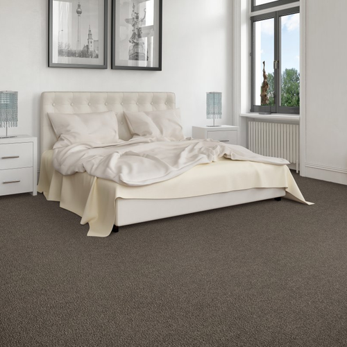 Owen Valley Flooring providing easy stain-resistant pet friendly carpet in Spencer, IN - Exciting Selection I - dreamy