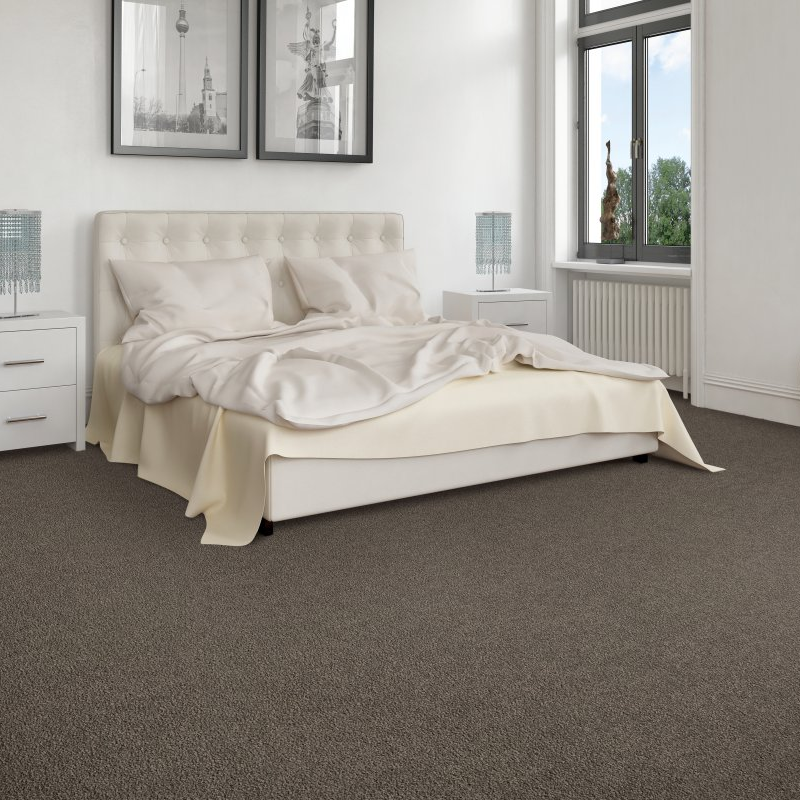 Owen Valley Flooring providing easy stain-resistant pet friendly carpet in Spencer, IN - Exciting Selection I - dreamy